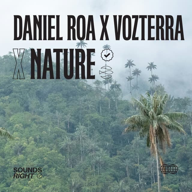 Rain Through the Forest cover art