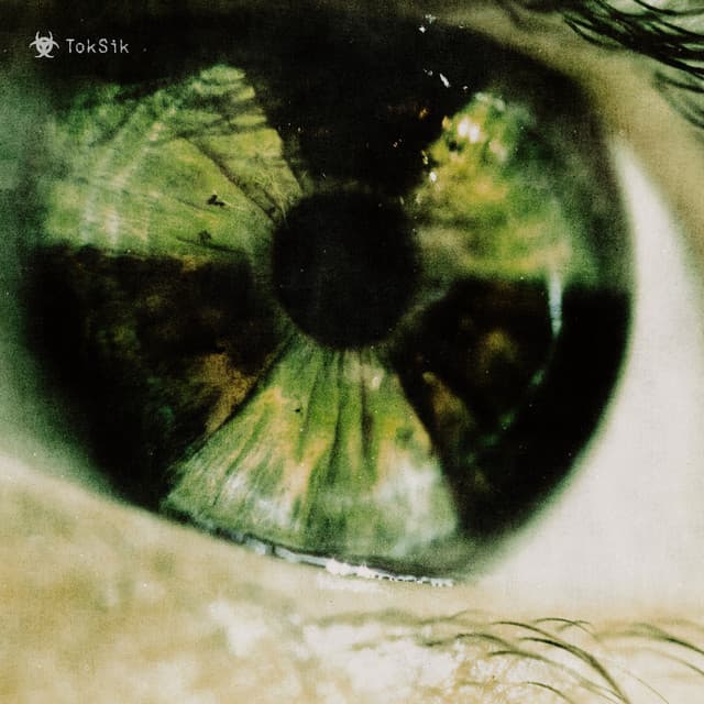 TOKSIK cover art
