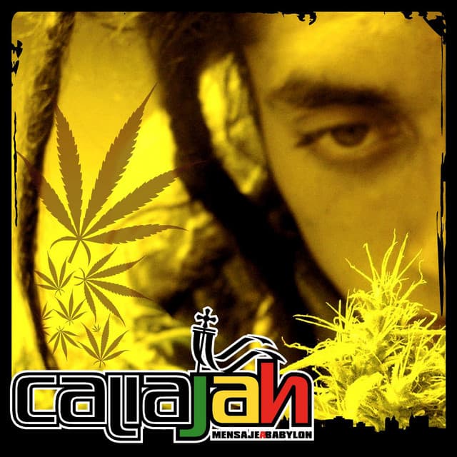 Legalizacion cover art