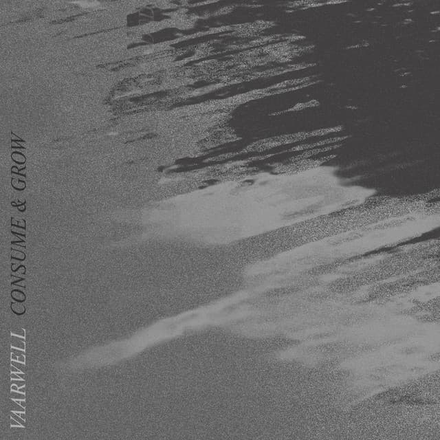 consume & grow (Extended) cover art
