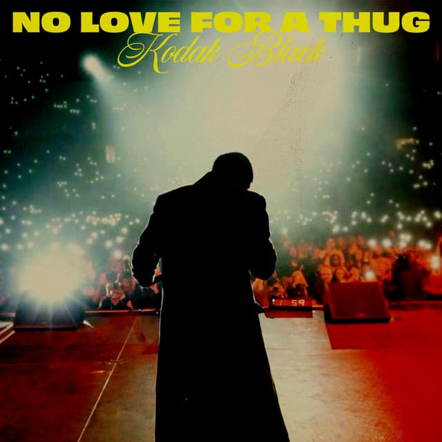 No Love For A Thug cover art