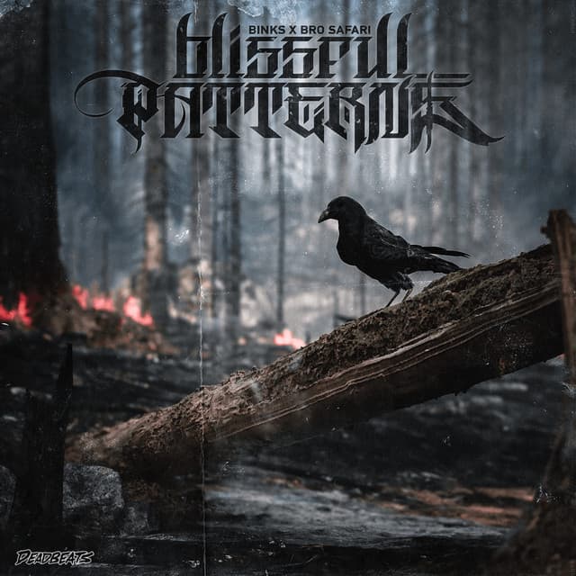 Ignition cover art