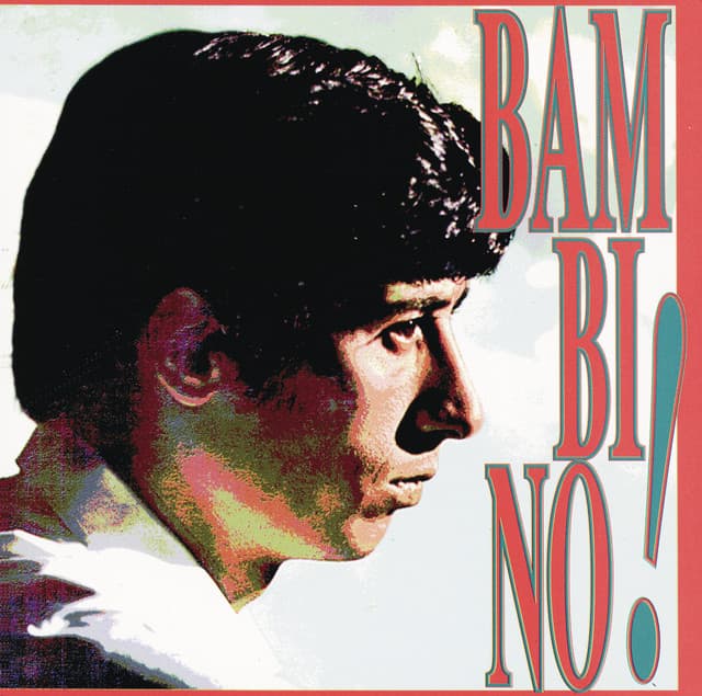 Bambino, Piccolino cover art