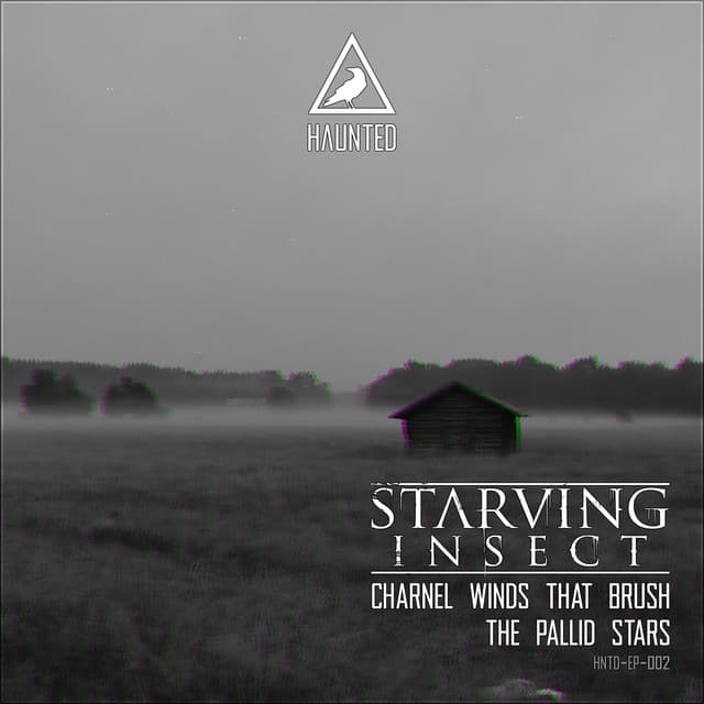 Charnel Winds That Brush the Pallid Stars cover art