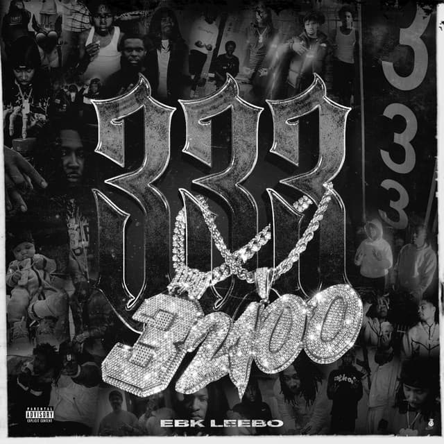 Fly Swatter cover art