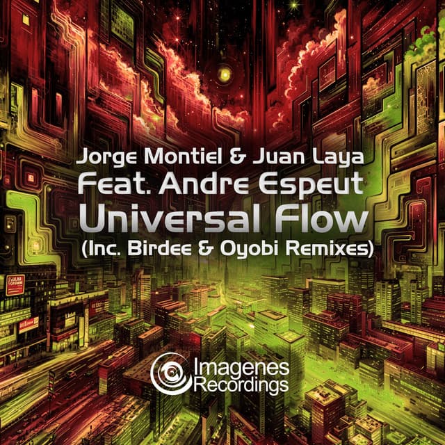 Universal Flow - Birdee Remix cover art