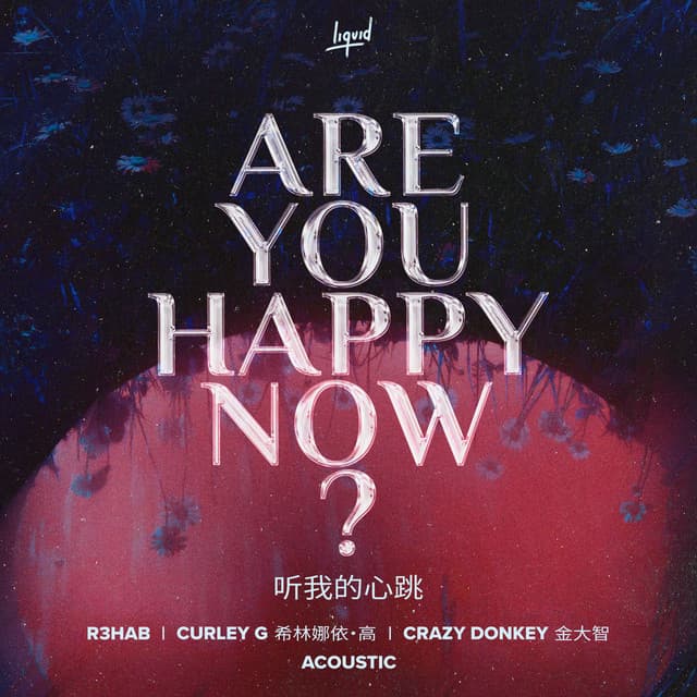 Are You Happy Now (Acoustic) cover art