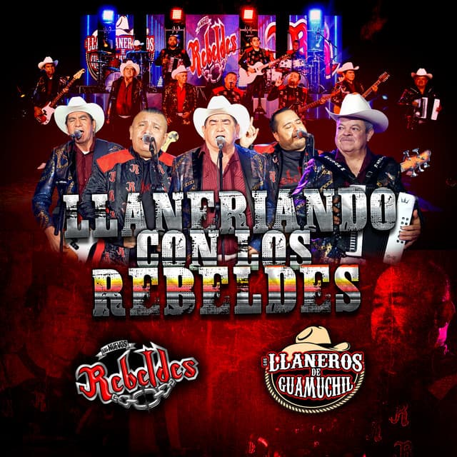 La Pajarera - En Vivo cover art