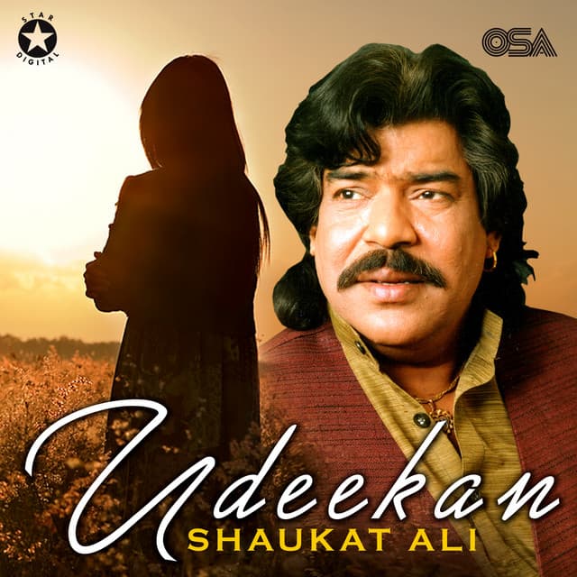 Yaar Bewafa Ho Gaya cover art
