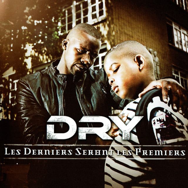 Les raisons de la colère (feat. Demon One, Wilox & Dinka) cover art