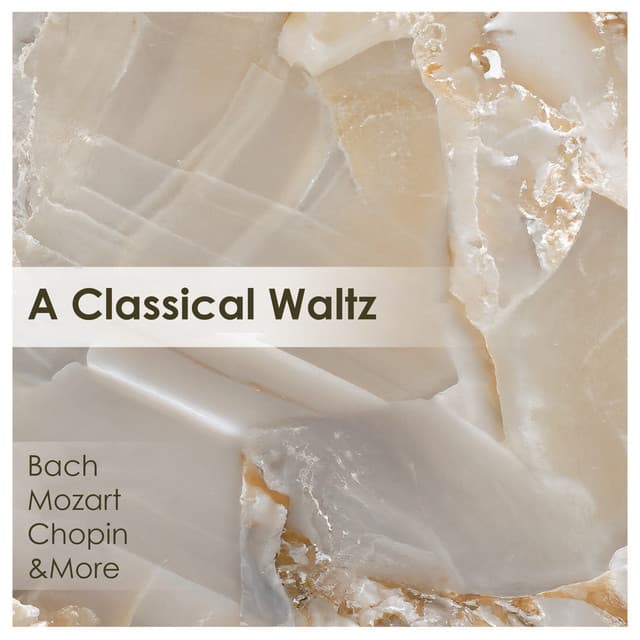 Carnaval, Op. 9: Valse allemande cover art