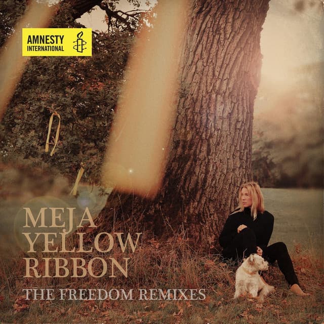 Yellow Ribbon cover art