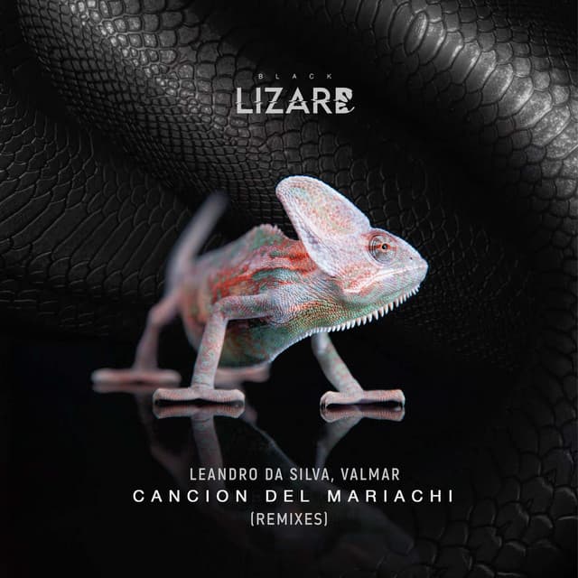Cancion Del Mariachi - Ale Molinari, Mitch B., MaTo Locos Remix cover art