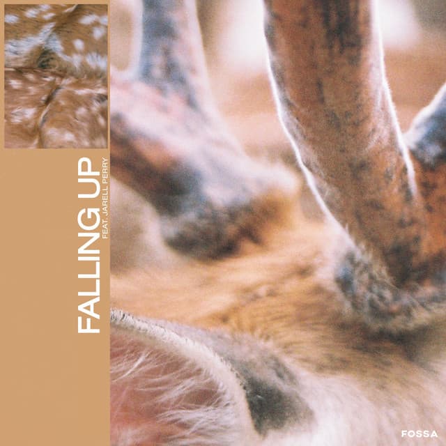 Falling Up cover art