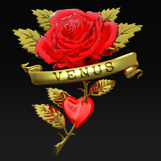 Venus - Boys Noize Rework cover art