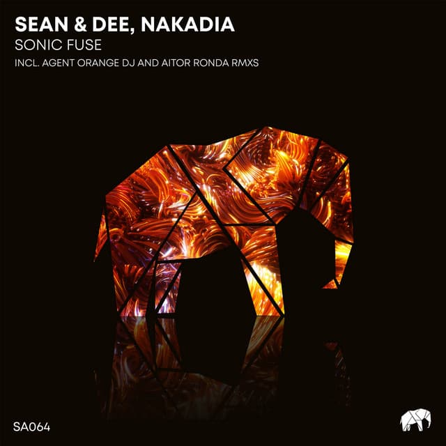 End of Wormhole - Aitor Ronda Remix cover art