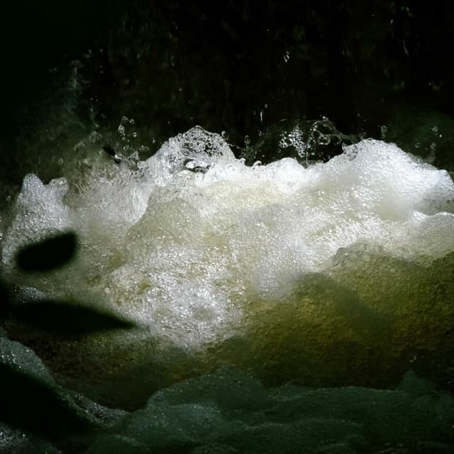 More Offerings cover art