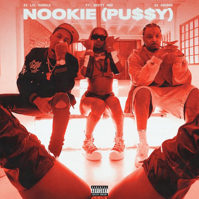 Nookie (Pu$$y) (feat. Sexyy Red) cover art