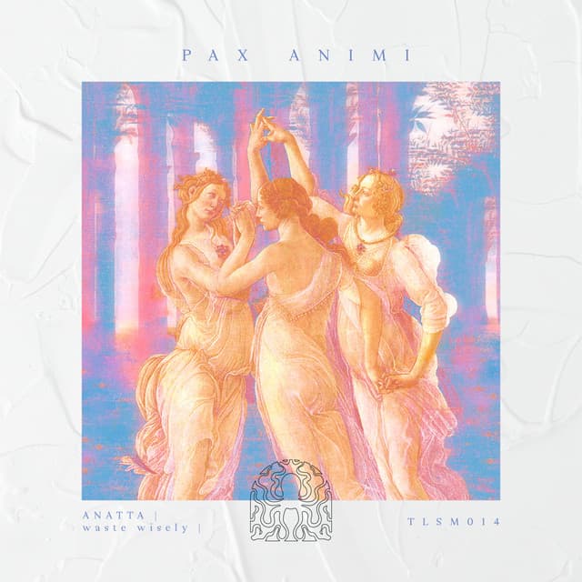 Pax Animi - Arkady Antsyrev Remix cover art