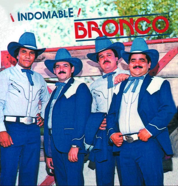 Que Te Han Visto Llorar cover art