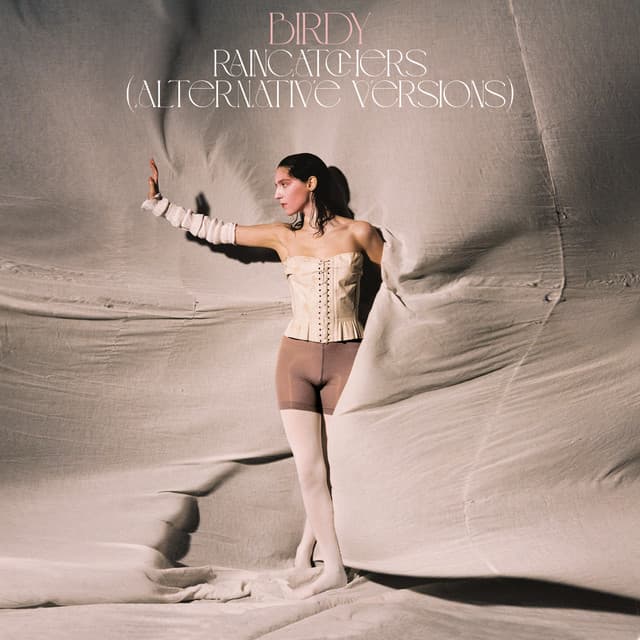 Raincatchers cover art
