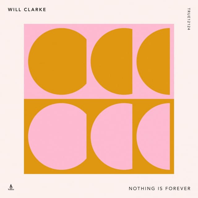 Nothing Is Forever cover art