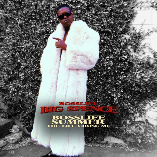 Boss Island cover art