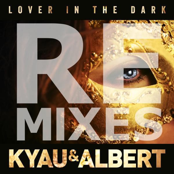 Lover in the Dark - Tokn Radio Edit cover art