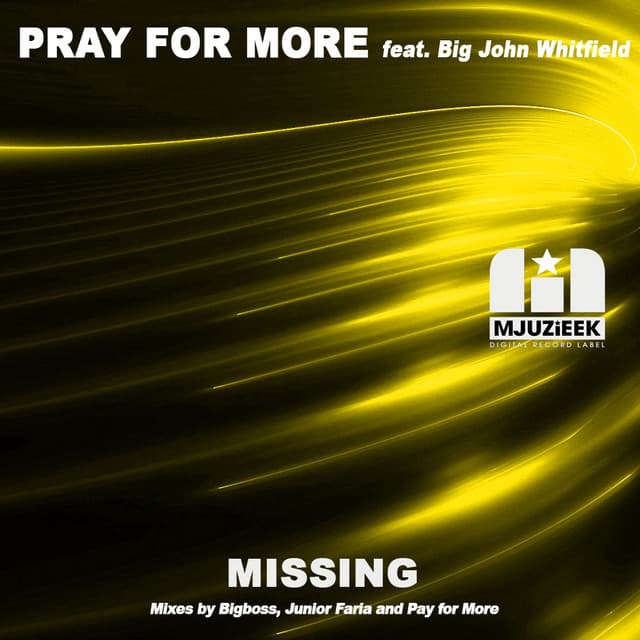 Missing - Bigboss Dub Mix cover art