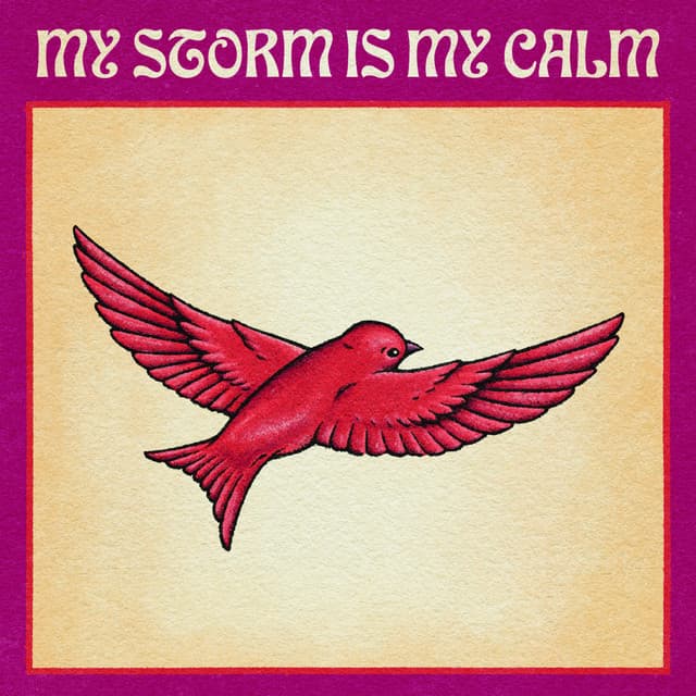 My Storm Is My Calm cover art