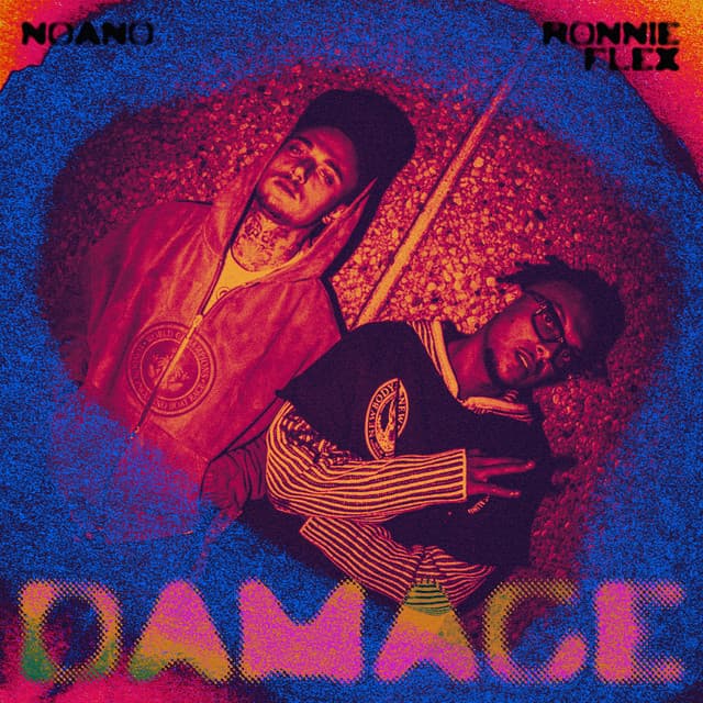 Damage cover art