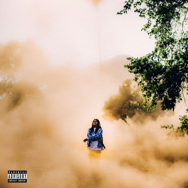 Check (feat. Yung Baby Tate) cover art