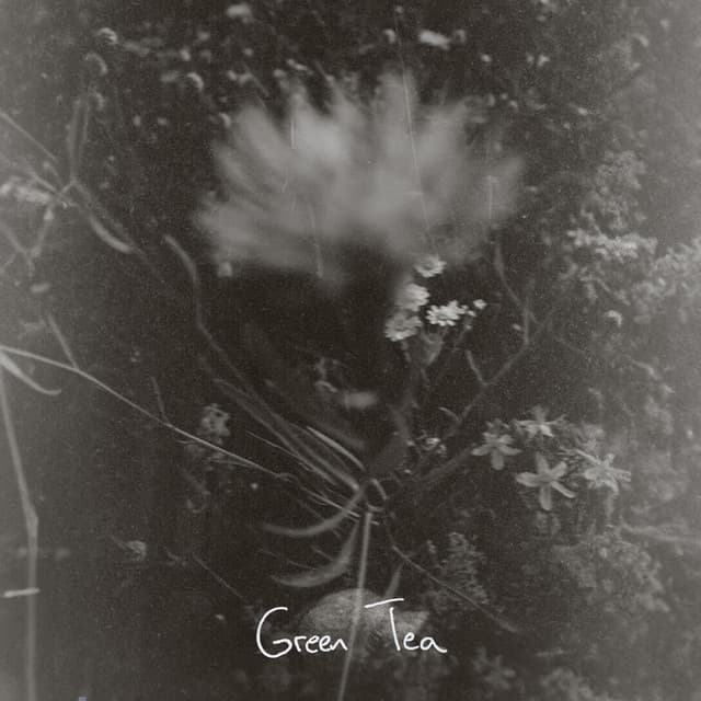 According to Planned cover art