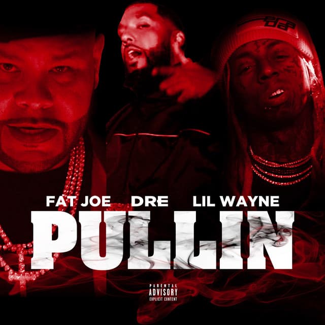 Pullin cover art