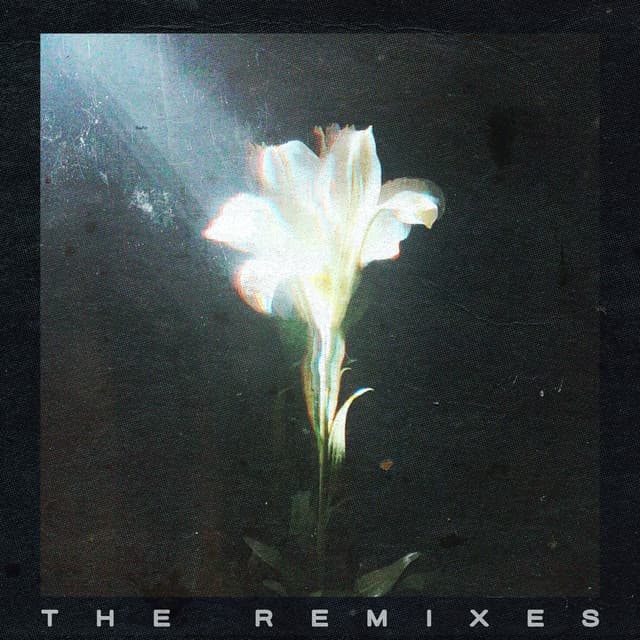 Light That Leads Me - Boris Way Remix cover art