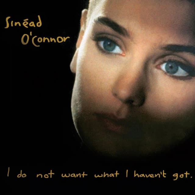 I Do Not Want What I Haven't Got cover art