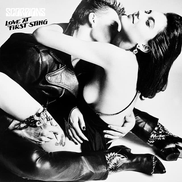 Rock You Like A Hurricane cover art