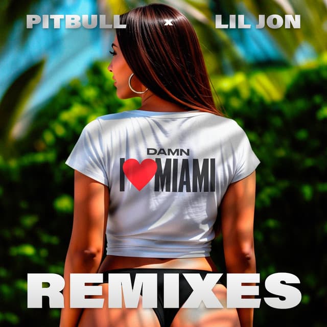Damn I Love Miami - Apollo XO Remix cover art