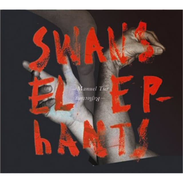Swans Reflecting Elephants cover art