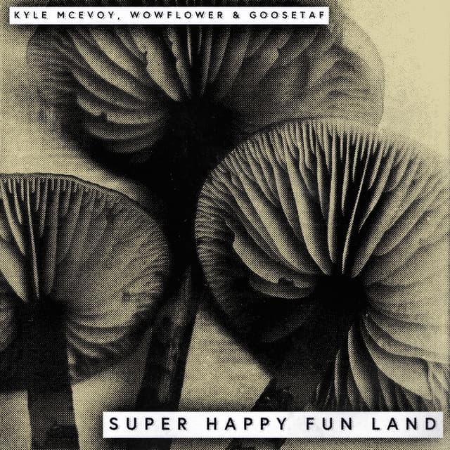 Super Happy Fun Land cover art