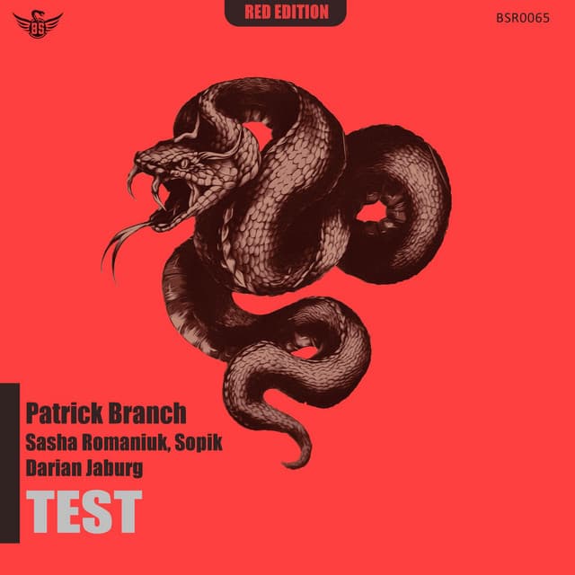 Test - Sasha Romaniuk & Sopik Remix cover art