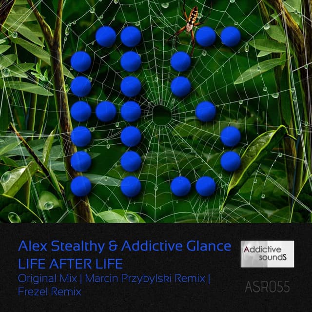 Life After Life - Frezel Remix cover art