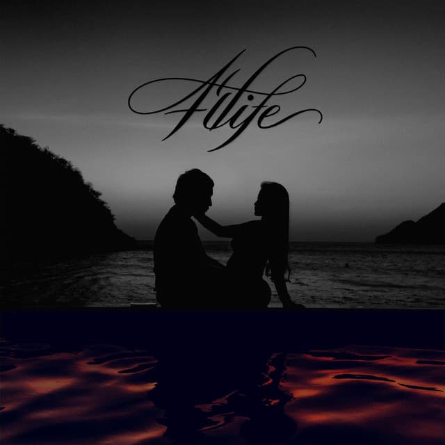 4 Life cover art