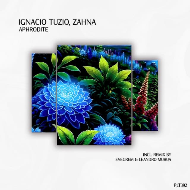 Aphrodite - Evegrem & Leandro Murua Remix cover art