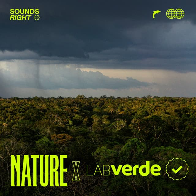 Melodic Raindrops of the Campinarana cover art