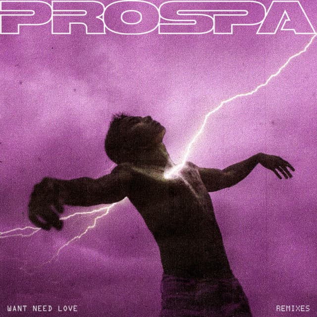 WANT NEED LOVE - Dimension Remix cover art