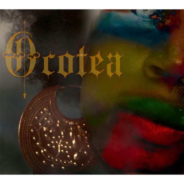 The Black Mother cover art