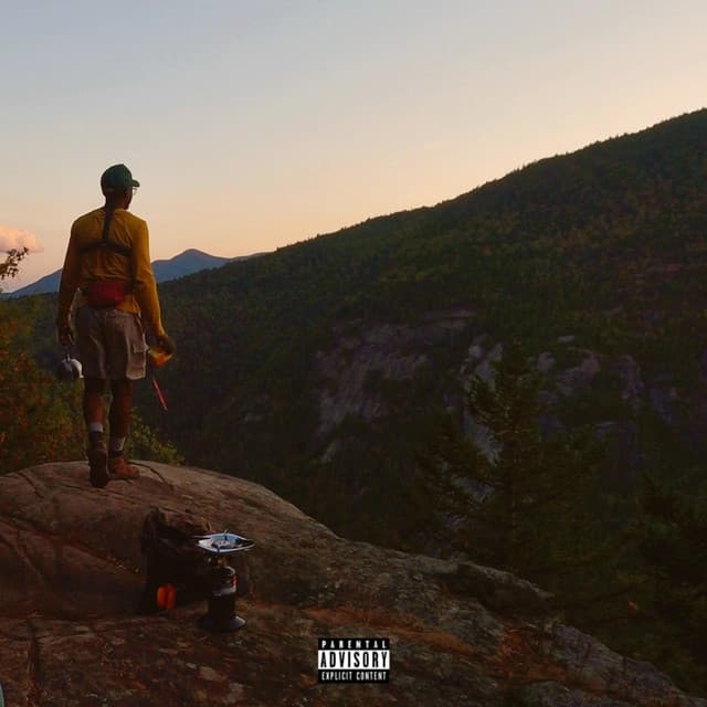 What you gonna do? cover art