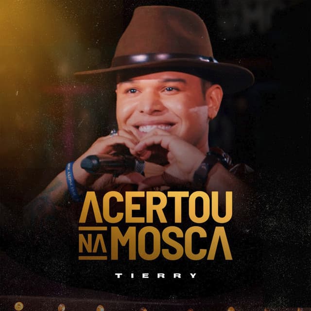 Acertou Na Mosca cover art