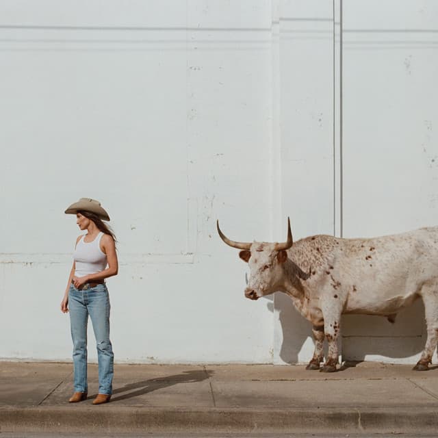 Dry Spell cover art